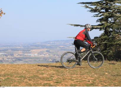 Gravel Antik