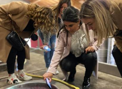 Visite et dégustation au Château Tour des Genêts
