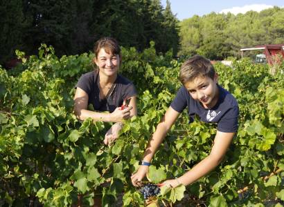 Visite de la cave - Domaine du Gros Pata