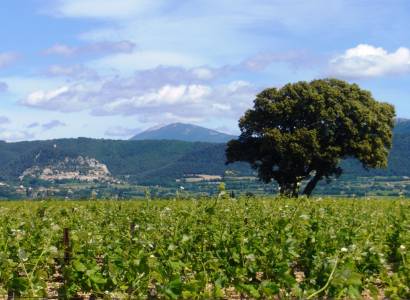 Domaine de la Girardière