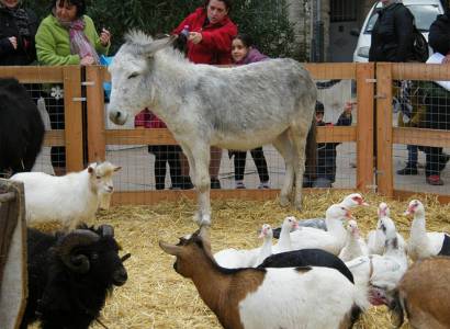 Les Ecuries de Bacchus