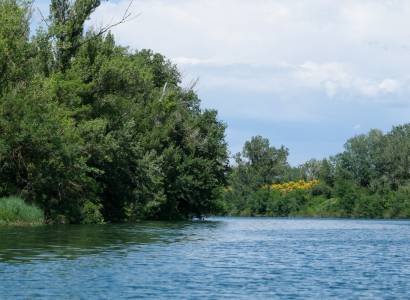 L’île de la Barthelasse