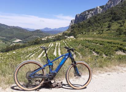 Balade accompagnée en VTT et dégustation à Gigondas LaCave