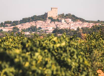 Journées du Patrimoine :   découverte de Châteauneuf-du-Pape,.