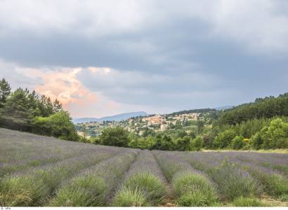 GR® de Pays Tour du massif du Ventoux - Boucle du piémont du Ventoux