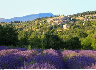 GR® de Pays Tour du massif du Ventoux - Boucle du sommet du Ventoux