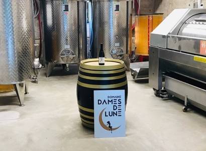 Découverte de la cave de vinification - Domaine Dames de Lune