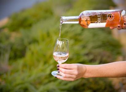 Atelier dégustation accords mets et vins - Clauvallis