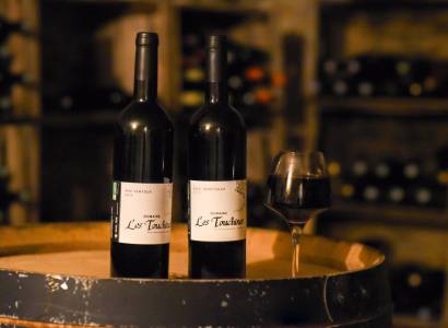 Dégustation en accords mets et vins aux Touchines