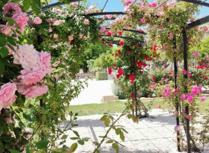 Lavande - Gîte en Provence