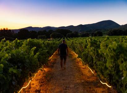Entre Vignes et Lumières