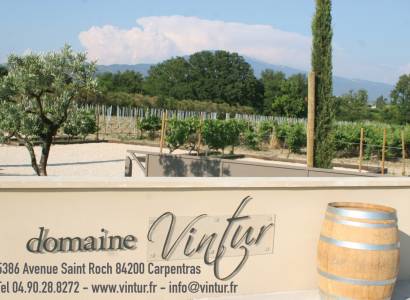 Visite guidée du vignoble et de la cave du Domaine Vintur