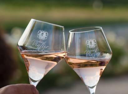Tour de cave & grignotage - Domaine Vintur