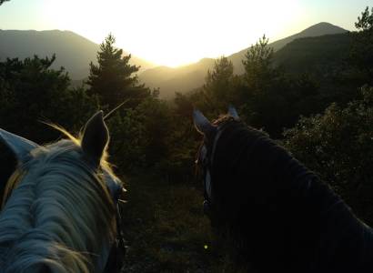 Balade à cheval, poney ou calèche