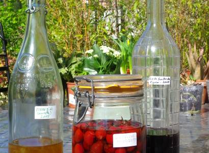 Plantes et recettes paysannes