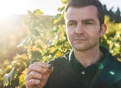 Visite du vignoble et de la cave - Domaine du Parandou