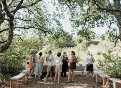 Balades vigneronnes