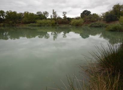 Plan d'eau des Jardins