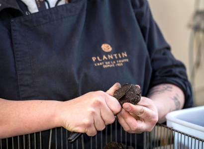 Journée portes ouvertes à la Maison Plantin Truffes