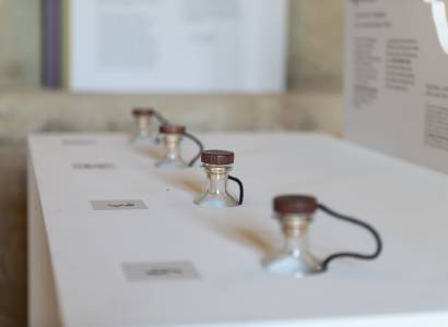 Gigondas Atelier sensoriel