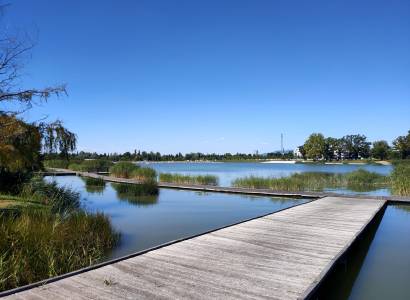 Parcours de Santé - Lac de Monteux
