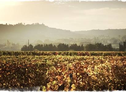 Domaine Arnia