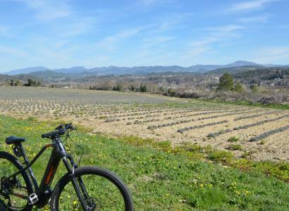 VTT n°19 - Le tour des Abbayes