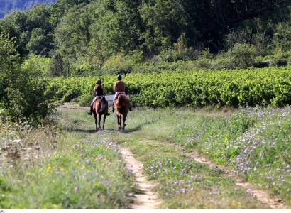 Cheval & Nature : Découverte du Luberon à cheval version Luxe