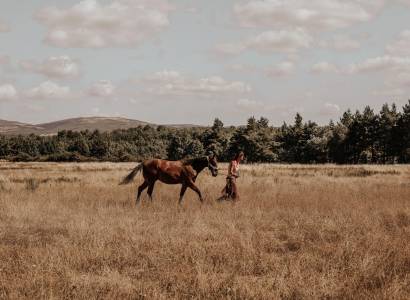 Prestations équestres avec Holy'Day Ranch