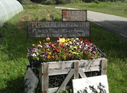 Pépinière Fleurs d'Avettes