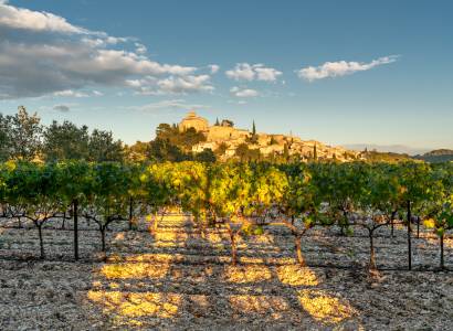 Chateau Turcan : location de salle de réception