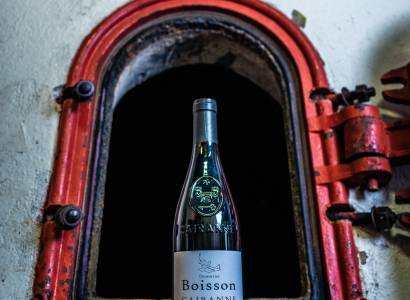 Visite du vignoble et de la cave - Domaine Boisson