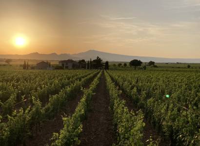 Tasting dinatoire au Mas de Boislauzon