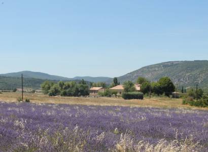 Chambre d'hôtes Au Plant de la Saulce