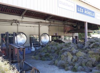 Distillerie de Lavande & Plantes Aromatiques - Les Agnels