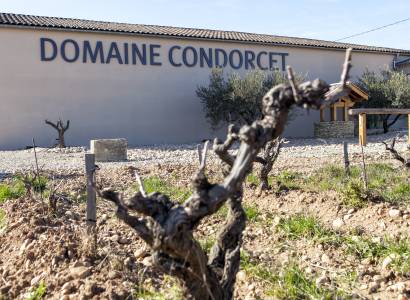 Oenotourisme au Domaine Condorcet