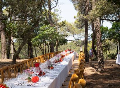 Les banquets du Géant de l’AOC Ventoux