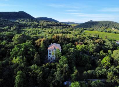 Domaine Daulone