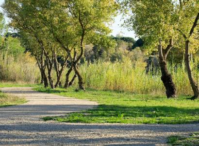 Voie Verte en bord de Durance