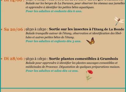 Savante Nature : Programme du mois de juin 2026
