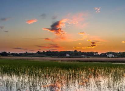 L'Etang Salé de Courthézon