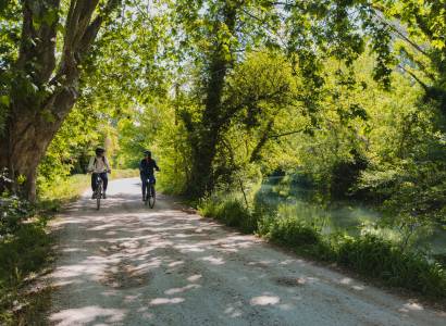 Séjour "Slow life au cœur de la Provence automnale "