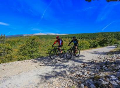 VTT  - Montée du Ventoux Ouest