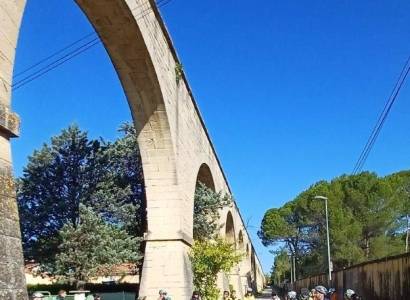 Visite en selle : Jardins de nos rues, parcs de nos villes