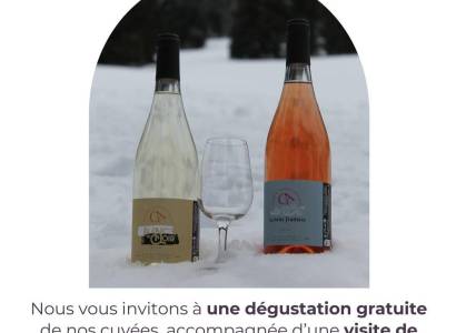 Domaine Chabran Antonin