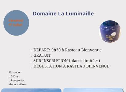 Visite accompagnée - sentier viticole & panoramique