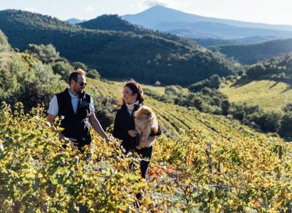 Balade et dégustation au cœur des Dentelles de Montmirail