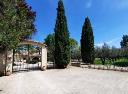 Domaine Famille Manganelli