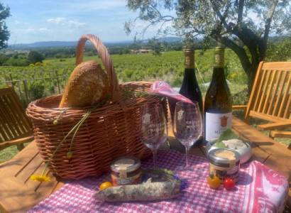 Pique nique entre vignes et oliviers au Château Maucoil