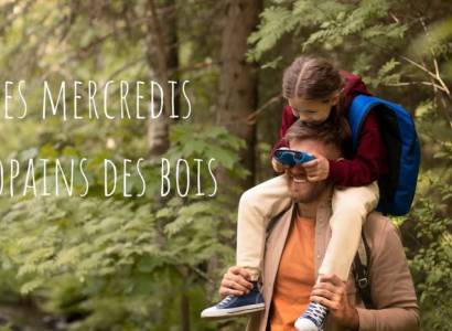 Au cœur de la forêt du Groseau